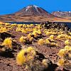 The Parinacota Volcano in Summer